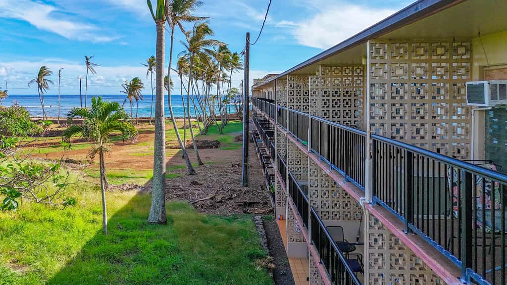 Prince Kuhio 337