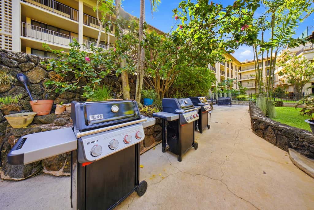 Prince Kuhio 337