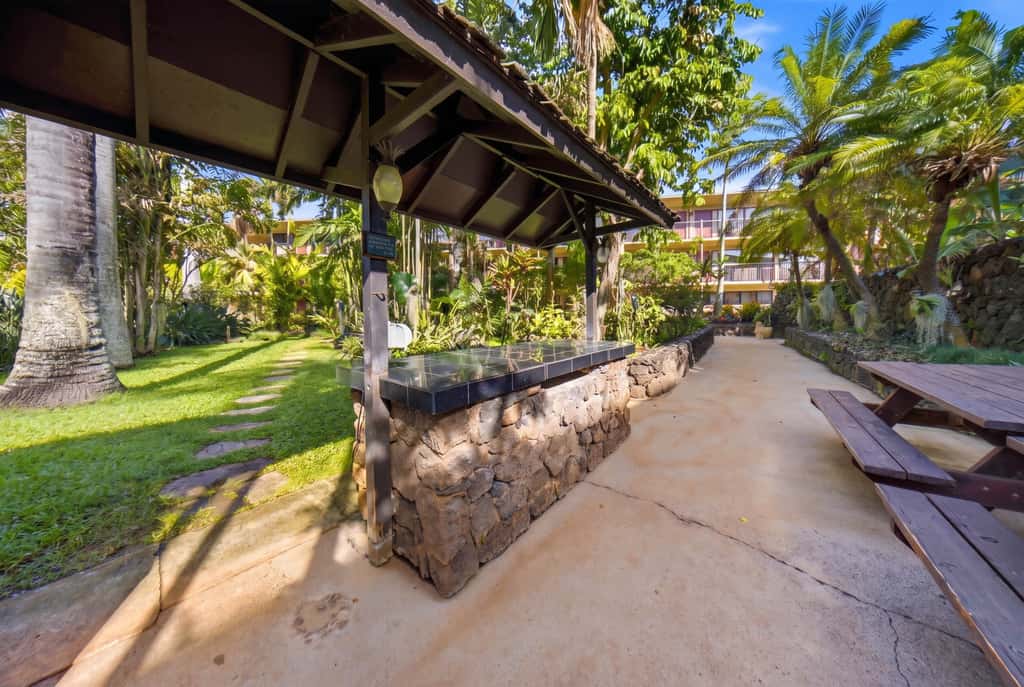 Prince Kuhio 337