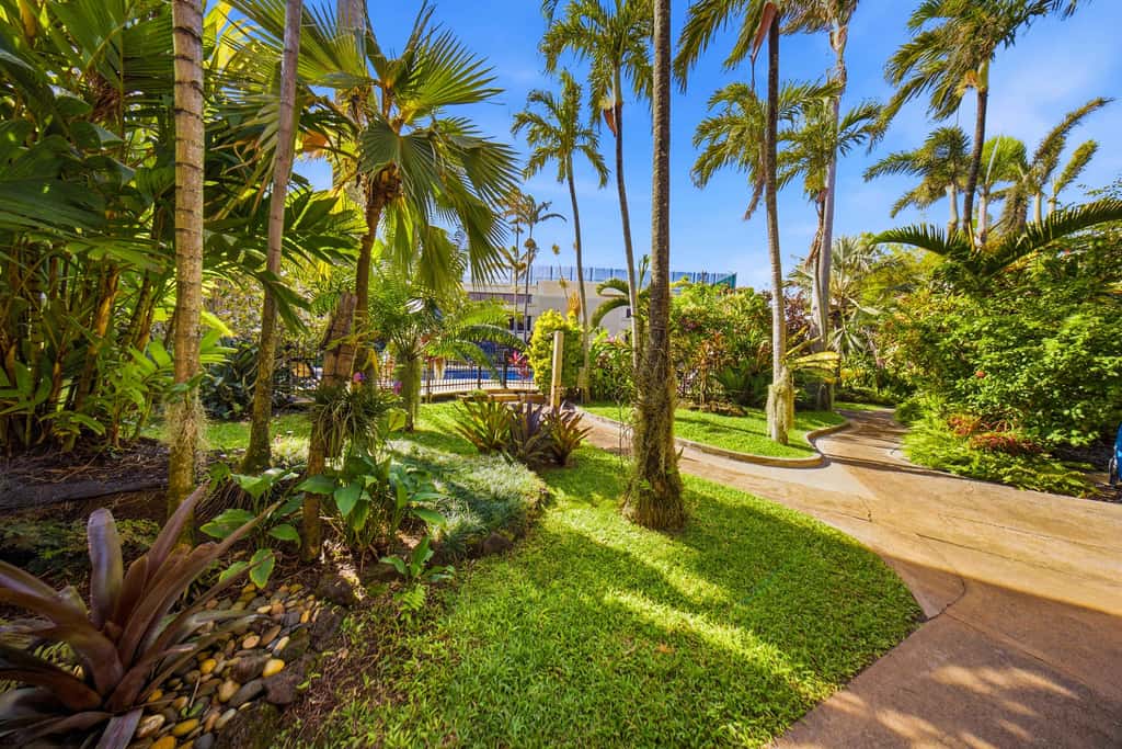 Prince Kuhio 337