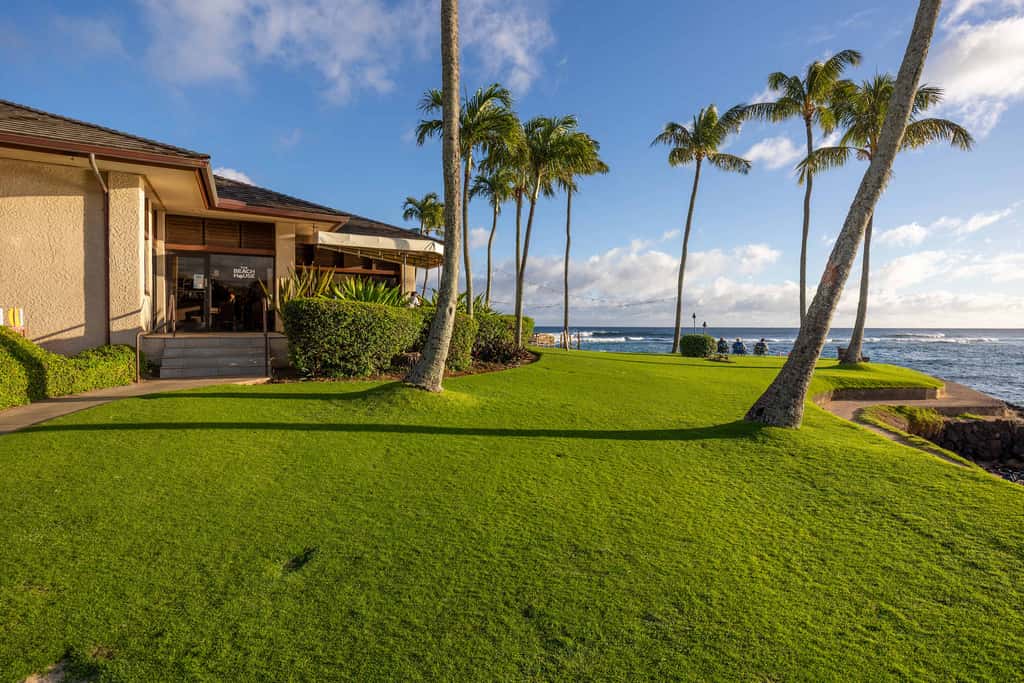 Prince Kuhio 337