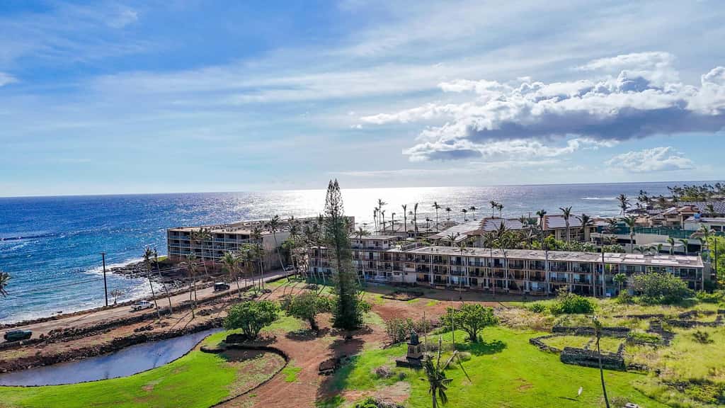 Prince Kuhio 337