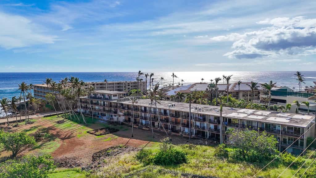 Prince Kuhio 337
