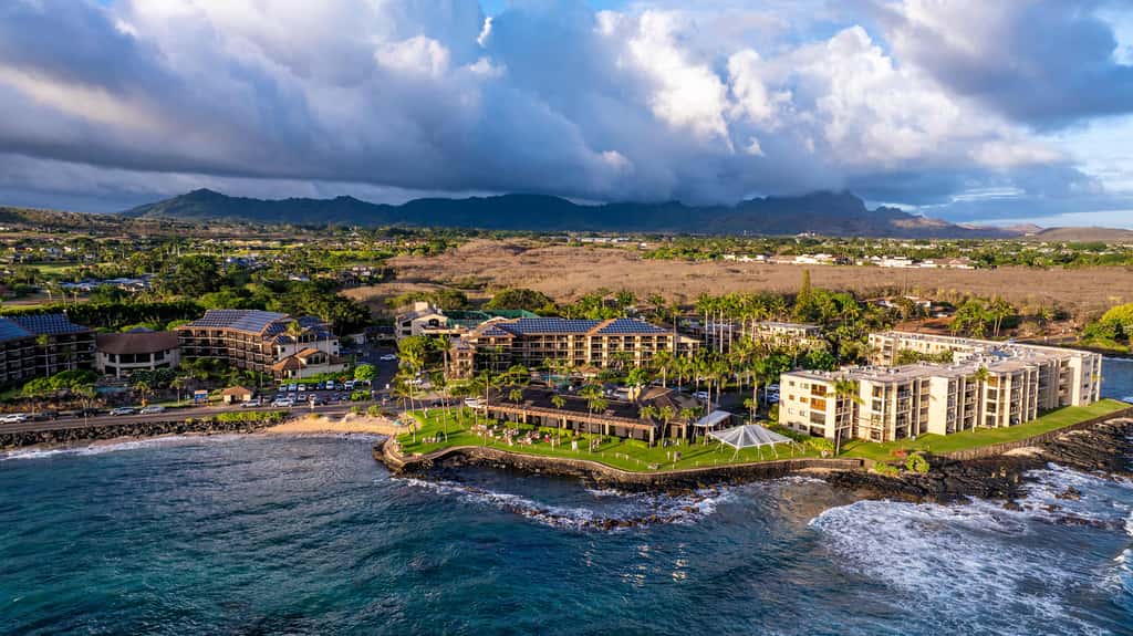 Prince Kuhio 337