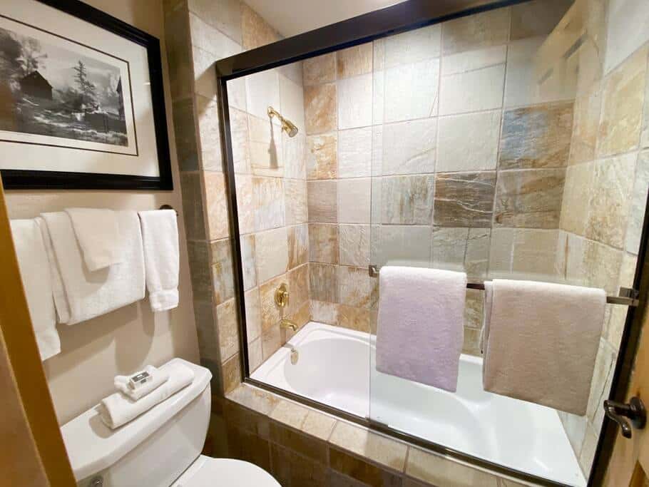 2 BR Condominium - Luxury ski-in/ski-out (rare find)