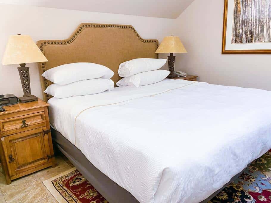 2 BR Condominium - Luxury ski-in/ski-out (rare find)