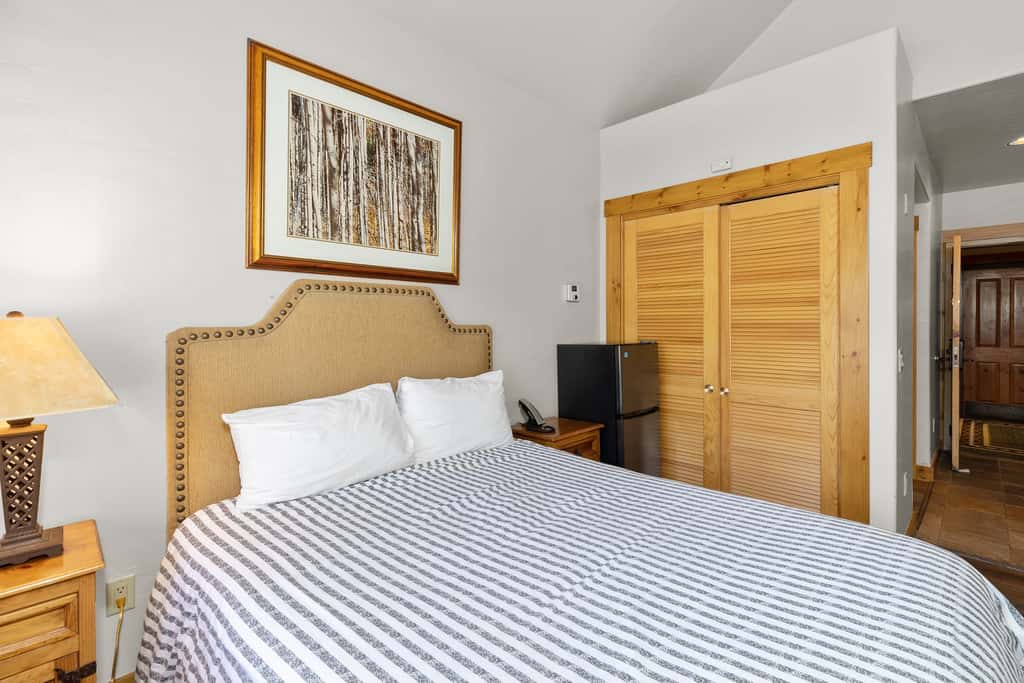 Telluride Mountain Lodge Ski in and Out - Stay and Save!