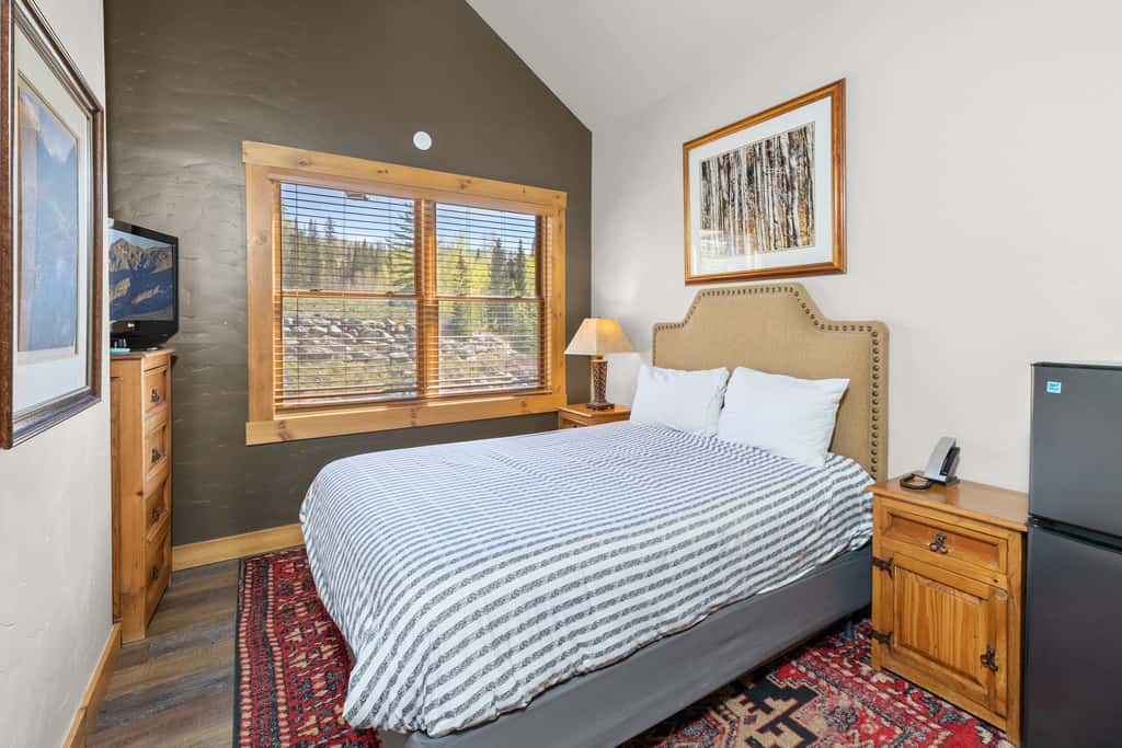 Telluride Mountain Lodge Ski in and Out - Stay and Save!