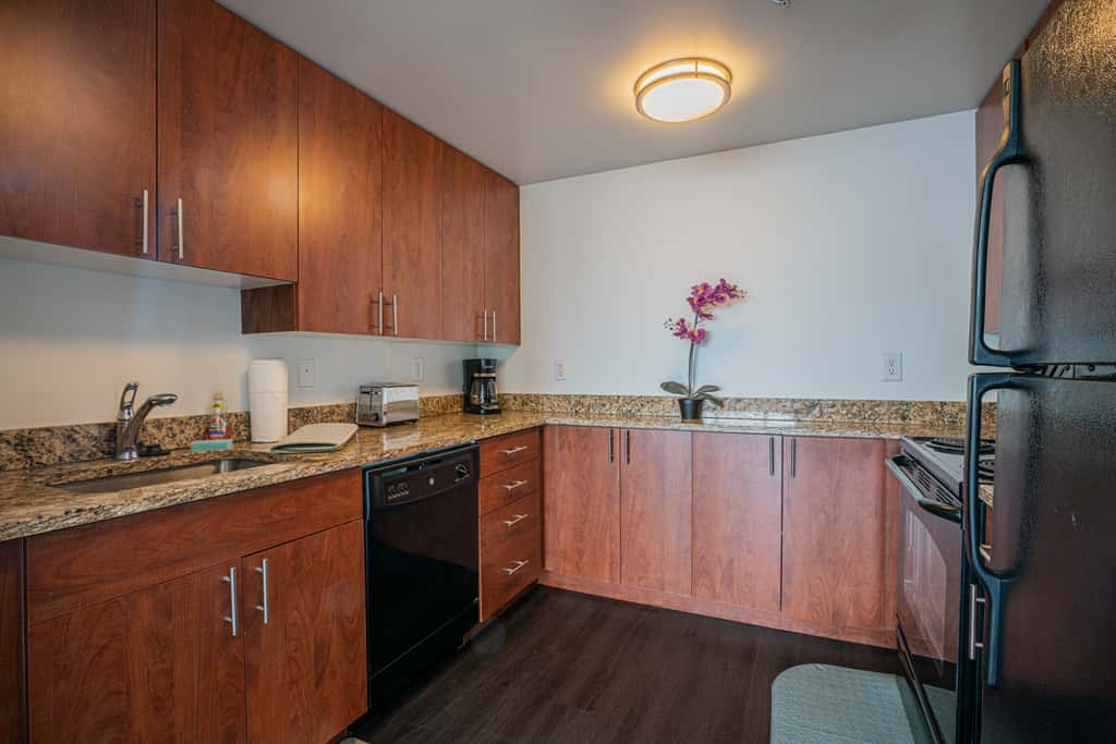 2 Bedroom Fully Furnished Apartment in Baltimore Downtown