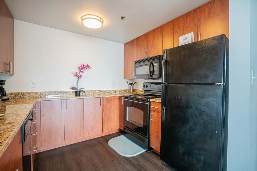 2 Bedroom Fully Furnished Apartment in Baltimore Downtown