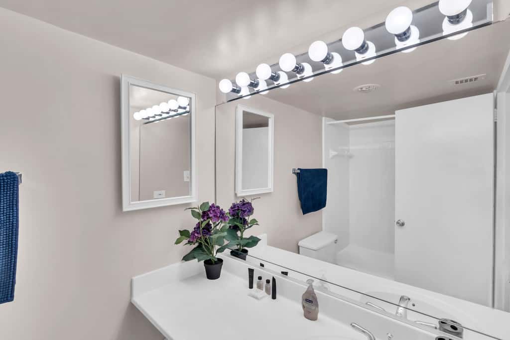Furnished Apartment in Crystal City near Pentagon