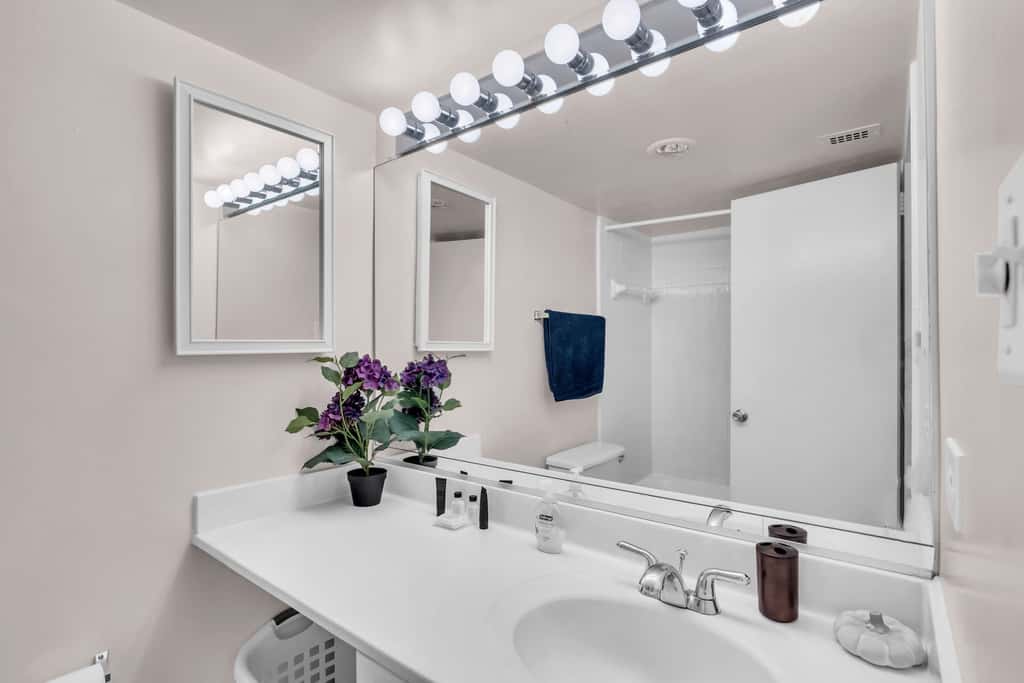 Furnished Apartment in Crystal City near Pentagon