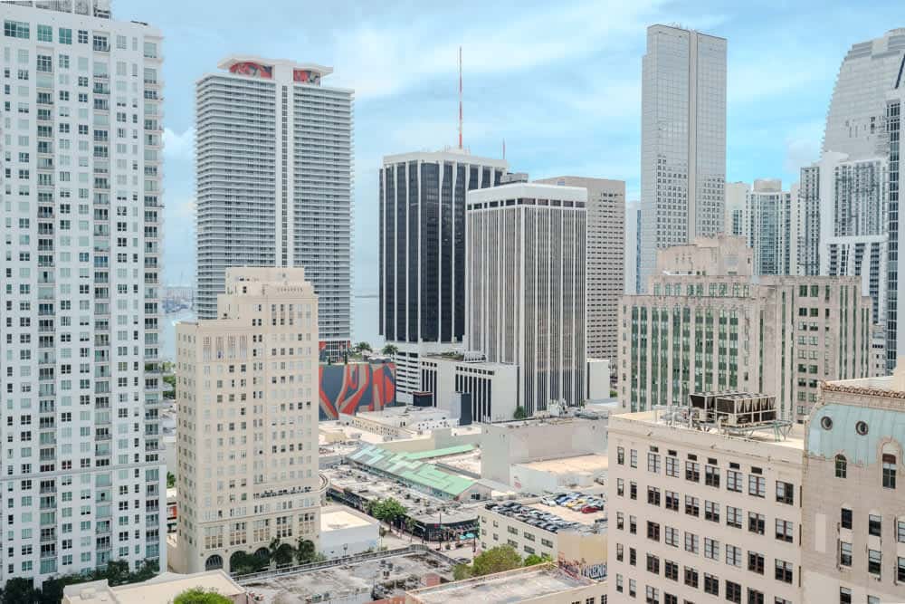 The Biscayne  Vibe 8876