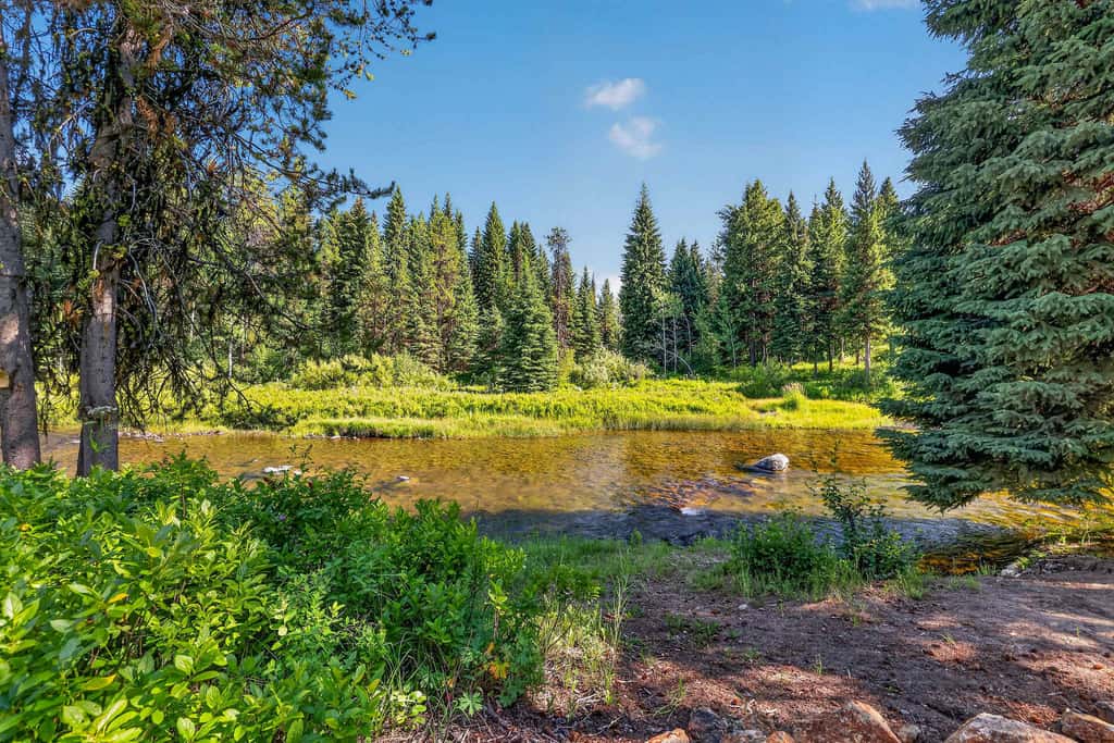 Off the Hook | Riverside McCall Cabin, Sleeps 12