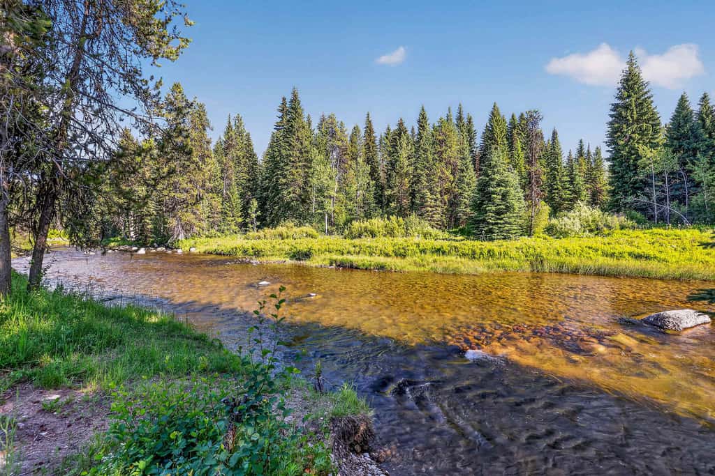 Off the Hook | Riverside McCall Cabin, Sleeps 12