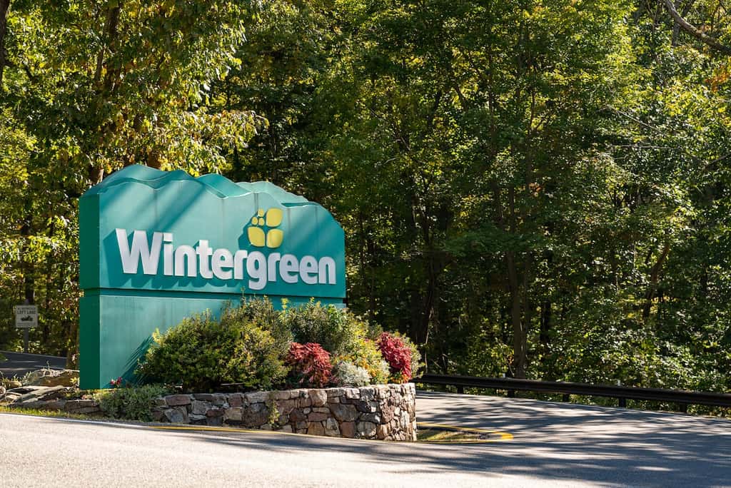 Wintergreen Resort - Ski Slopes, Hike, Swim, & Golf