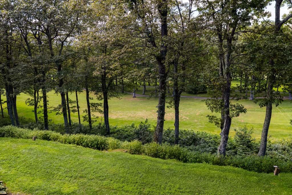 Wintergreen Resort - Ski Slopes, Hike, Swim, & Golf