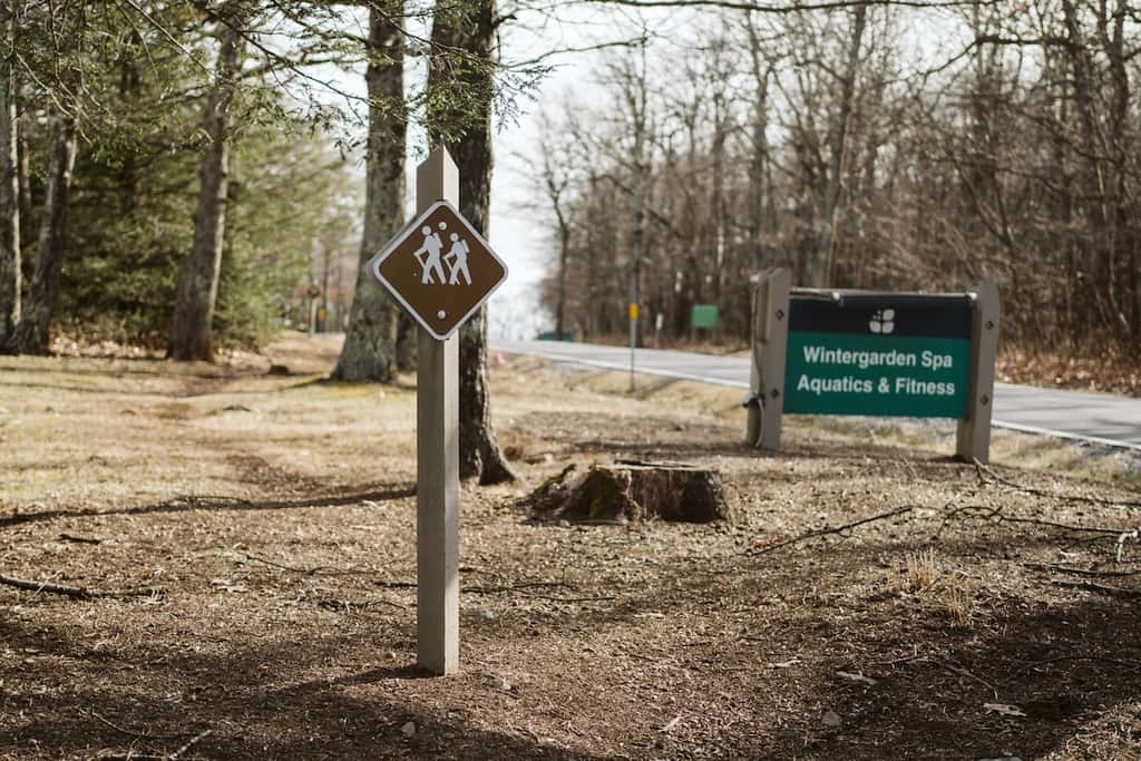 Wintergreen Resort - Ski Slopes, Hike, Swim, & Golf
