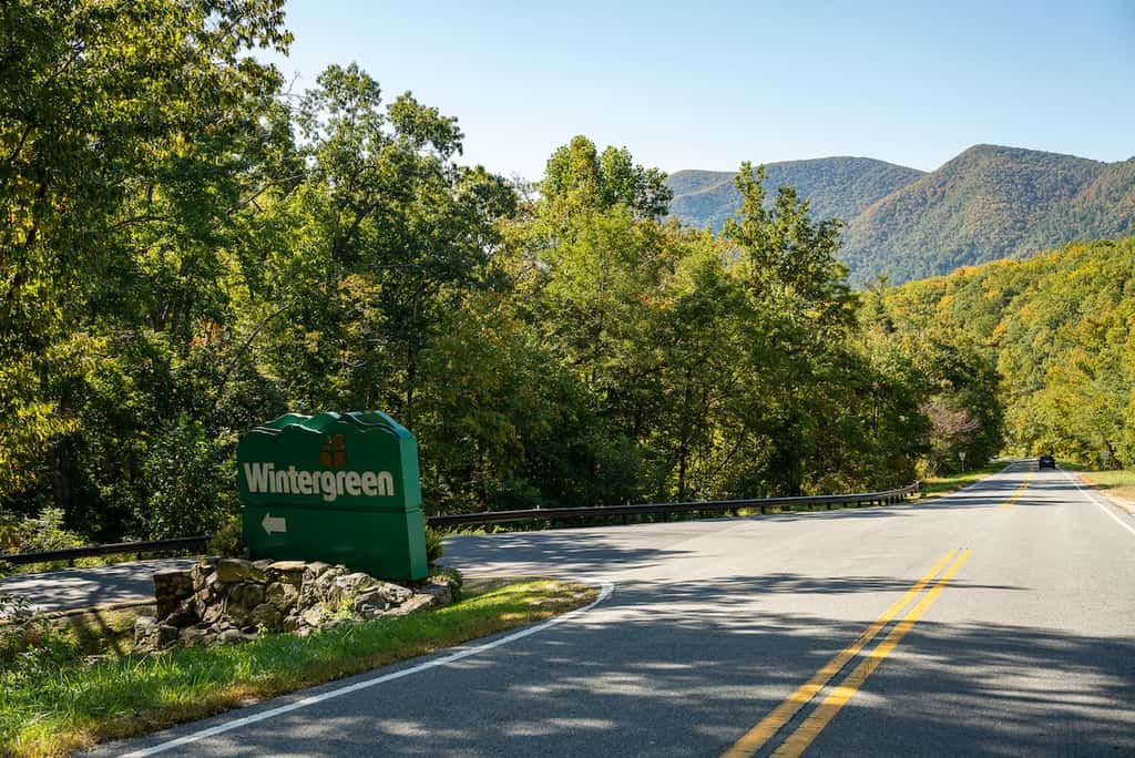Wintergreen Resort - Ski Slopes, Hike, Swim, & Golf