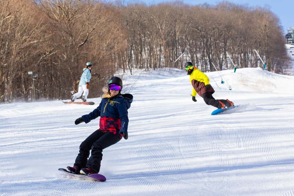Wintergreen Resort - Ski Slopes, Hike, Swim, & Golf