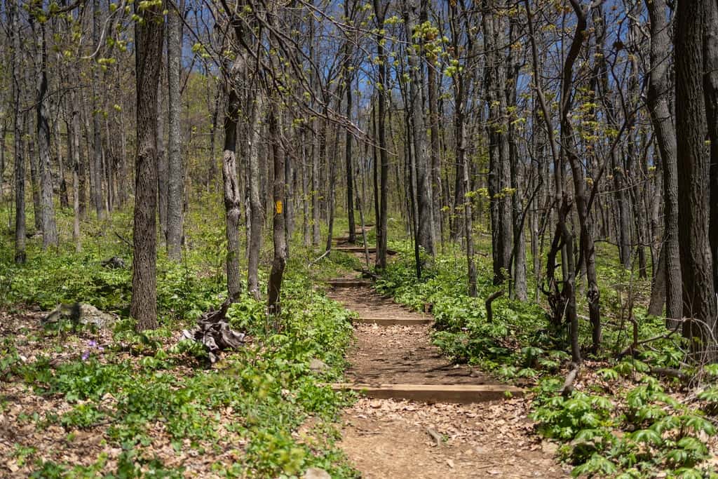 Wintergreen Resort - Ski Slopes, Hike, Swim, & Golf