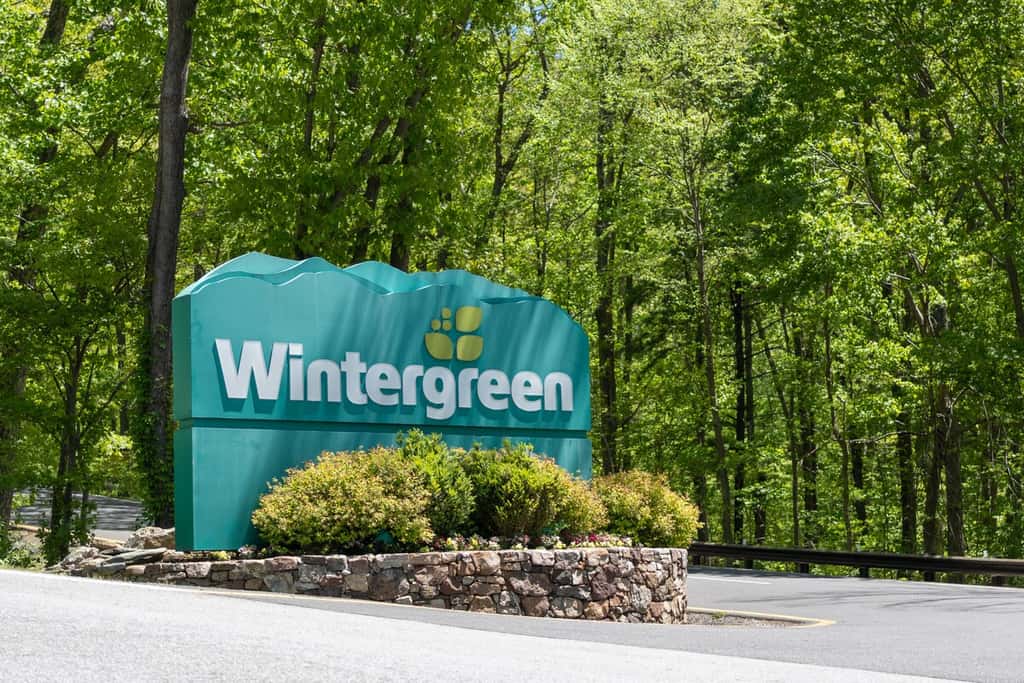 Wintergreen Resort - Ski Slopes, Hike, Swim, & Golf