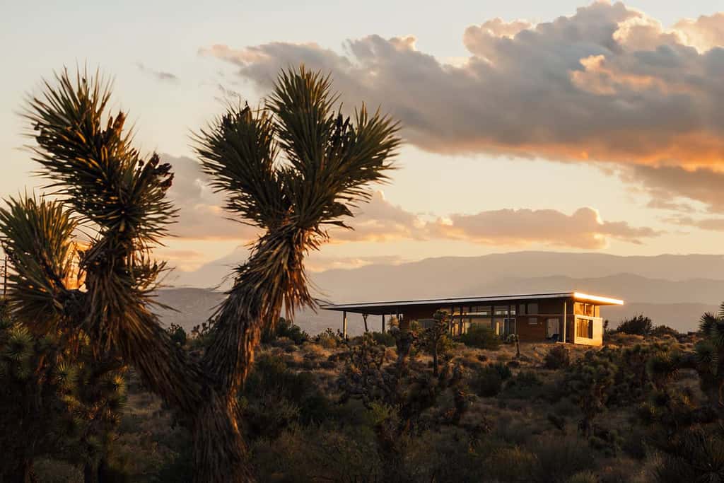 Hawk & Mesa By Homestead Modern