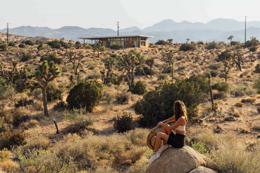 Hawk & Mesa By Homestead Modern