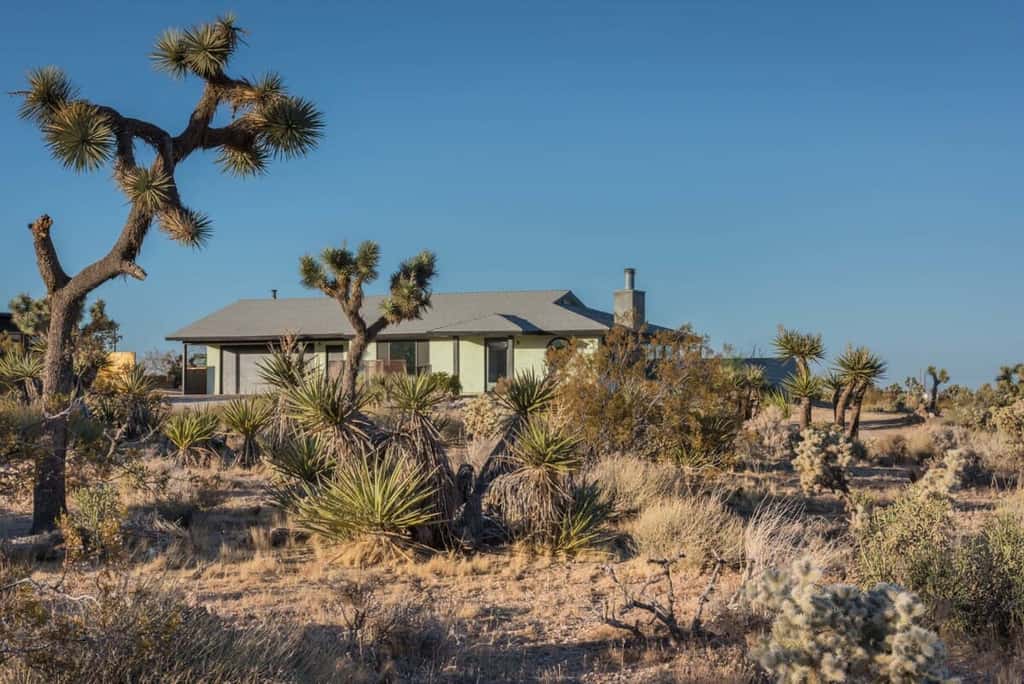 Yucca Hut by Homestead Modern 