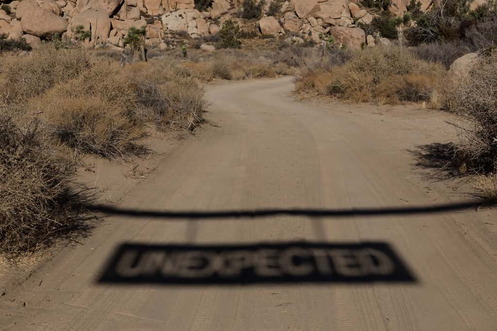 Unexpected By Homestead Modern