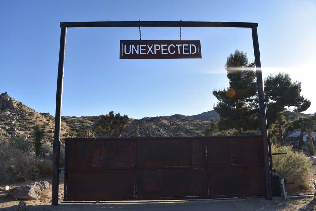 Unexpected By Homestead Modern