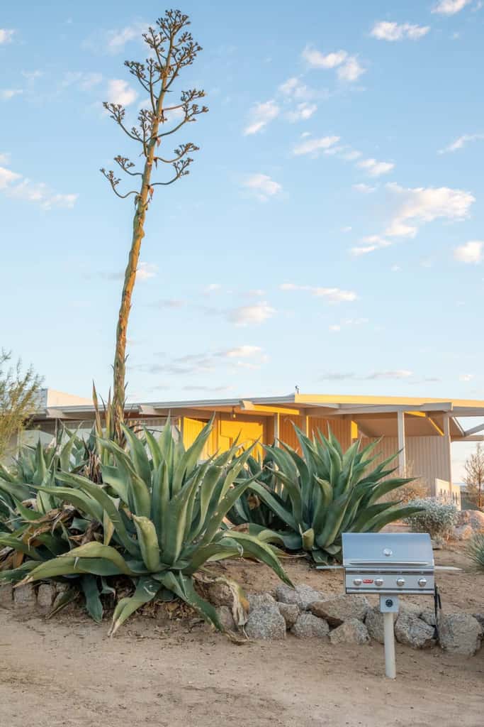 The Bungalows by Homestead Modern, Deluxe Studios