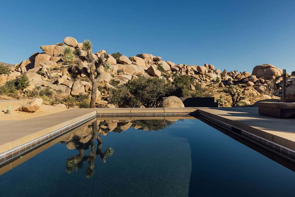 AMAR By Homestead Modern