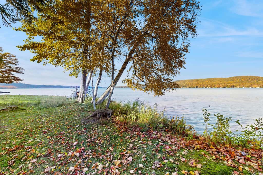 Historic farmhouse, 2 kitchens, lake access with kayak & paddle board, fire pit & stunning views