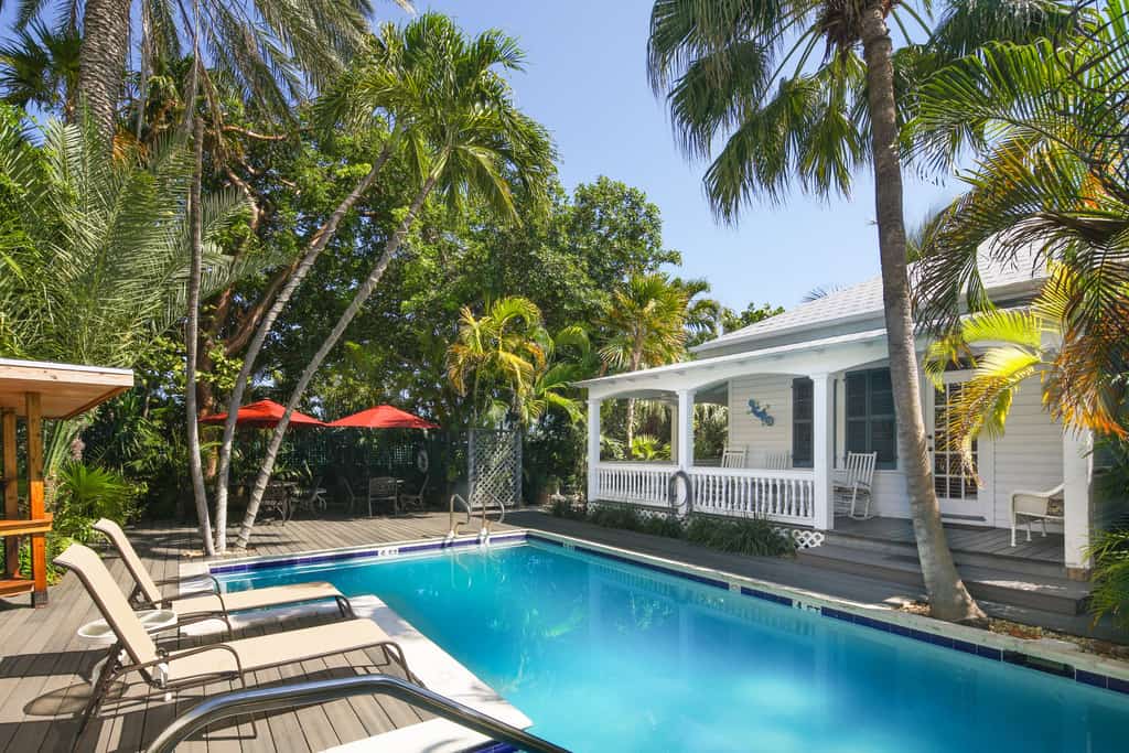 Outdoor pool with lounge chairs and palm trees near a white vacation home in Key West, FL.