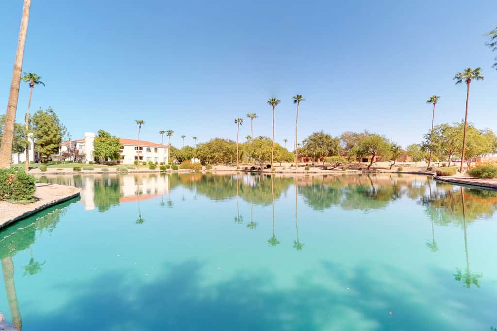 A pond at in Mesa, Arizona.