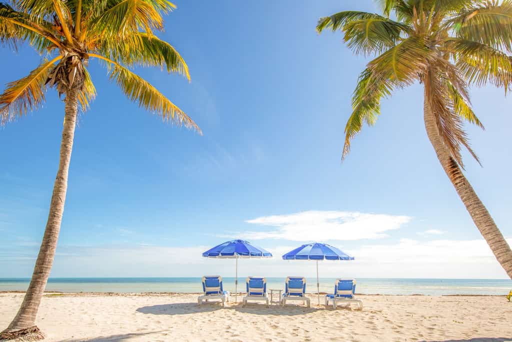 Florida Keys vacation rentals near snorkeling