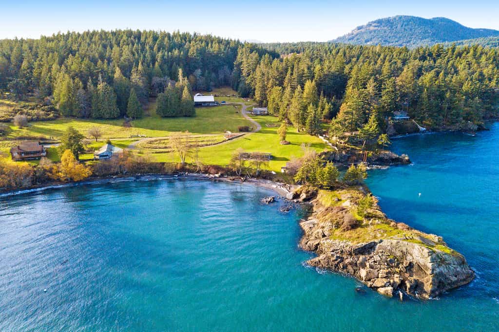 Home in the background and the ocean with a horn in the San Juan Islands.