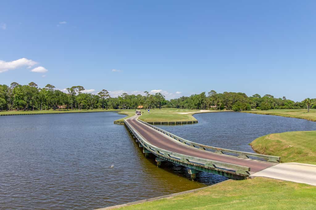The golf course at Sea Pines in Hilton Head