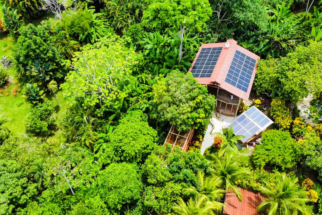 Vacation rental in the jungle in Puntarenas