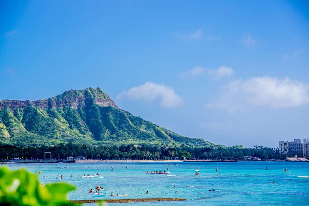 The beach and surfers in Oahu, HI.