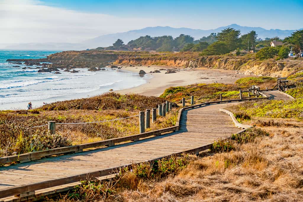 boardwalk along the california coast in Cambria