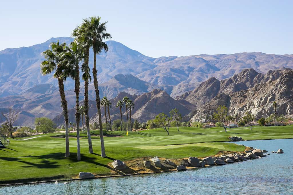 Palm Desert golf course with a water hazard and palm trees with hills in the background.