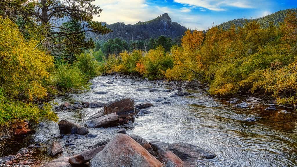 Image of Colorado River surrounded by fall leaves.