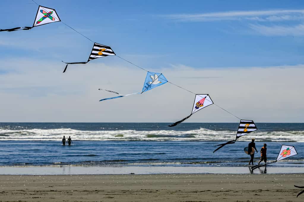 kites flying over the beach in ocean shores, washington