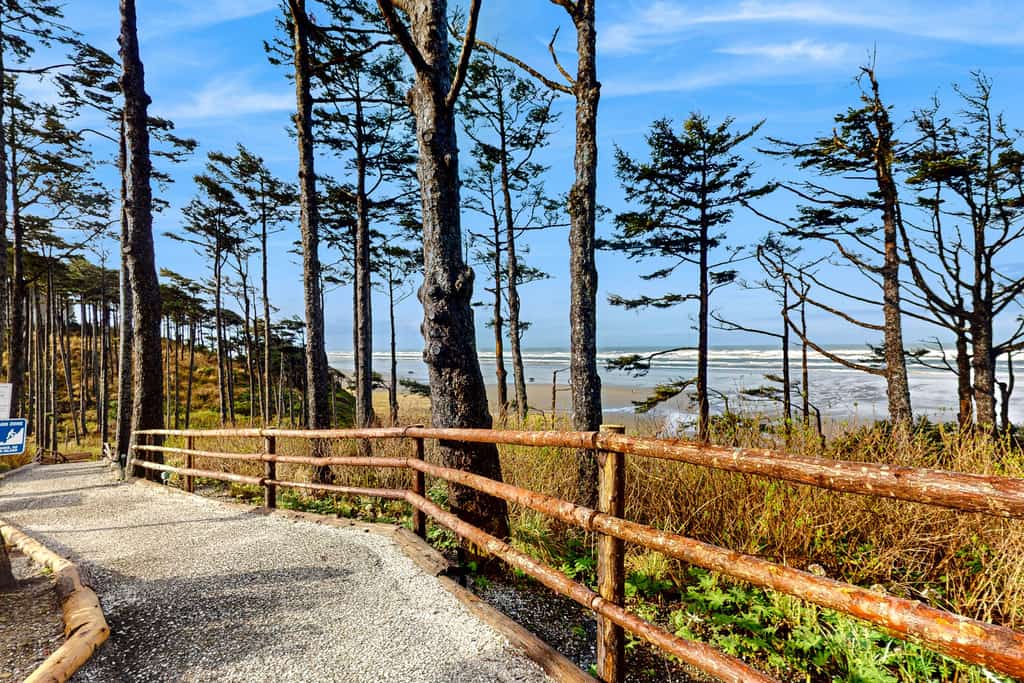 pacific beach washington