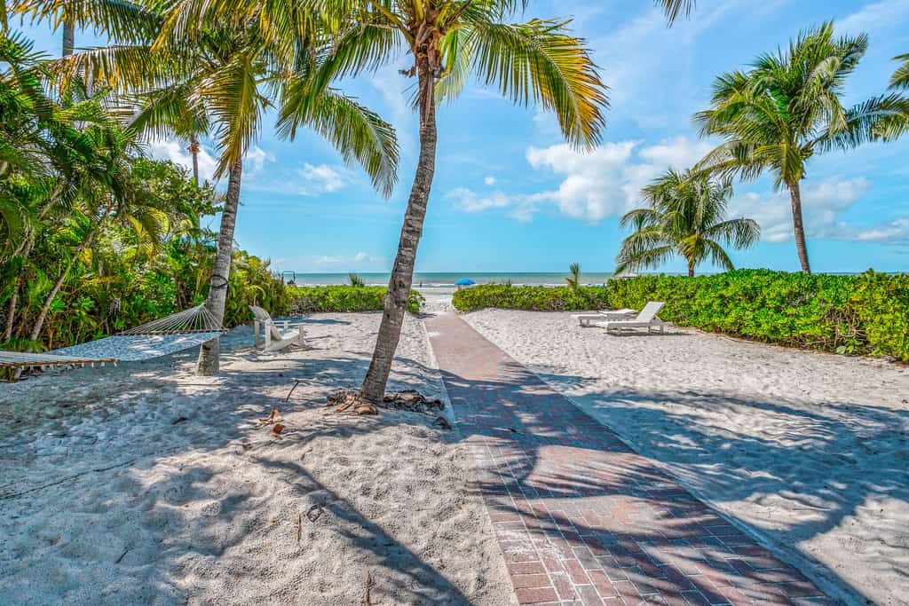 A hammock hangs between palm trees over the sands of Fort Meyers, FL