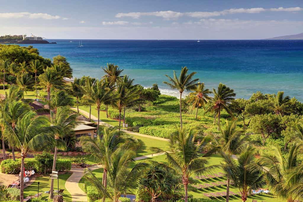 Beachfront resort in Lahaina, HI with palm trees
