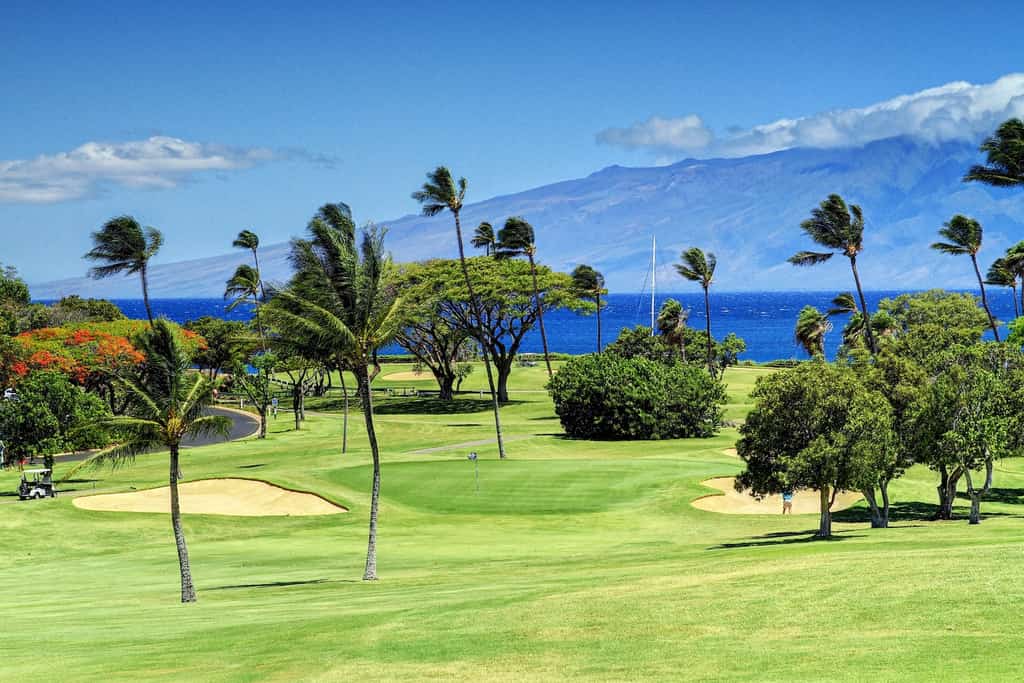 A golf course in Maui.