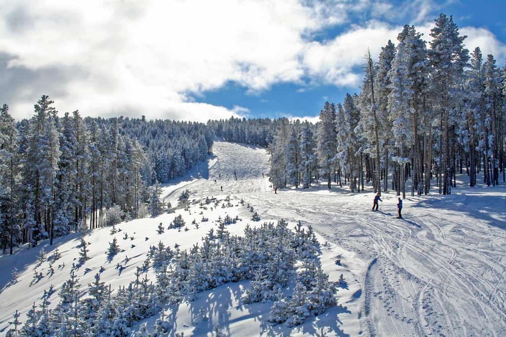 Skiers on a run at Snowmass.